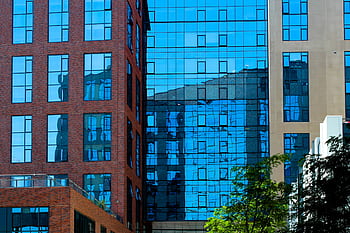 glass-building-city-windows-downtown-urban-royalty-free-thumbnail.jpg