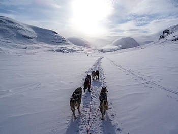 highland-mountain-path-snow-royalty-free-thumbnail.jpg