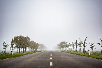 fog-foggy-morning-nowhere-royalty-free-thumbnail.jpg