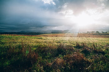 grass-field-rural-countryside-landscape-nature-royalty-free-thumbnail.jpg