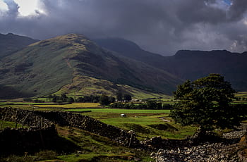 green-grass-field-farm-rocks-nature-royalty-free-thumbnail.jpg