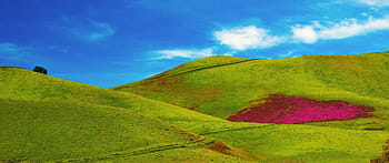 green-grass-fields-hills-royalty-free-thumbnail.jpg