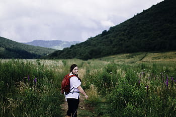 green-grass-mountain-highland-royalty-free-thumbnail(3).jpg