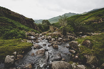 green-grass-rocks-river-royalty-free-thumbnail.jpg