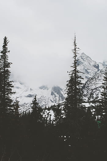 grey-sky-fog-mountains-royalty-free-thumbnail.jpg