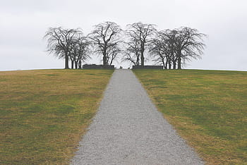 grey-sky-grass-path-royalty-free-thumbnail.jpg