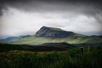 highland-trees-plant-green-grass-mountain-royalty-free-thumbnail.jpg